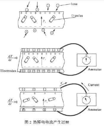 图2 热释电电流产生过程